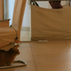 Image for article titled I Went to a European Cat Cafe and Was Roundly Ignored by All the Cats